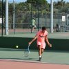 Tournoi open 2019